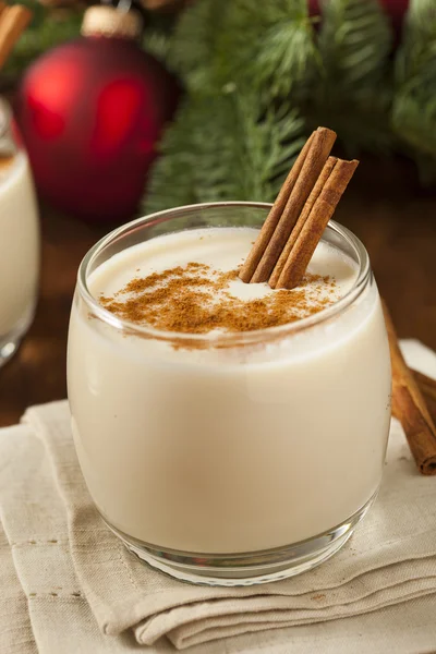 Homemade Festive Cinnamon Eggnog — Stock Photo, Image