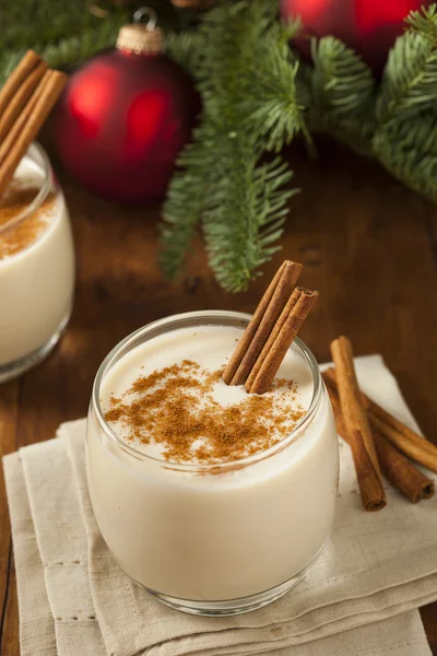Homemade Festive Cinnamon Eggnog — Stock Photo, Image