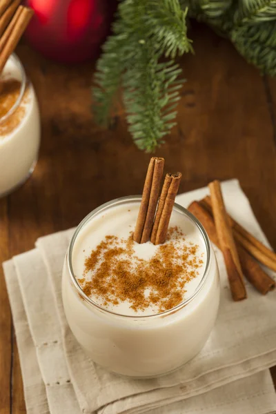 Homemade Festive Cinnamon Eggnog — Stock Photo, Image