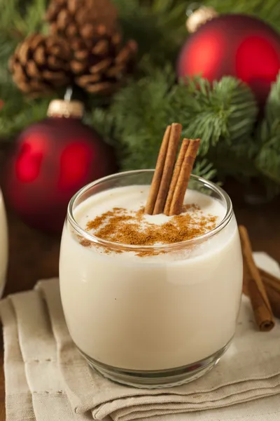 Homemade Festive Cinnamon Eggnog — Stock Photo, Image