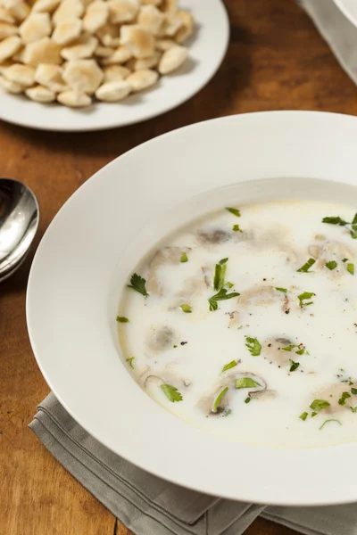 Homemade Organic Oyster Stew Appetizer — Stock Photo, Image