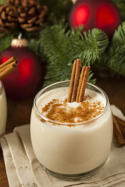 Homemade Festive Cinnamon Eggnog — Stock Photo, Image