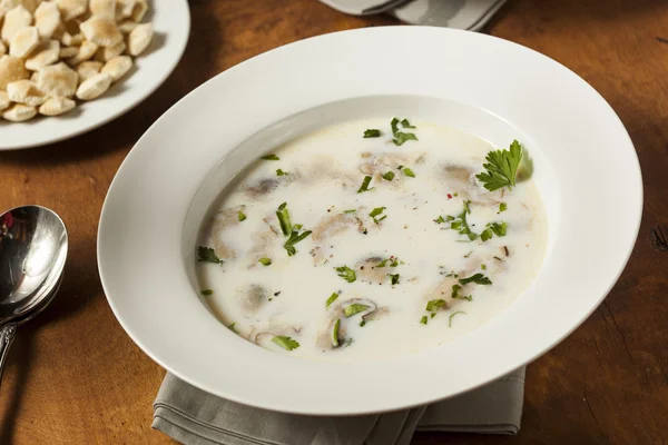 Homemade Organic Oyster Stew Appetizer — Stock Photo, Image