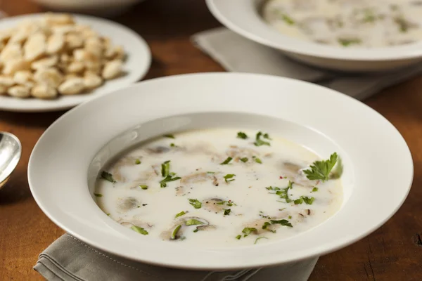 Homemade Organic Oyster Stew Appetizer — Stock Photo, Image