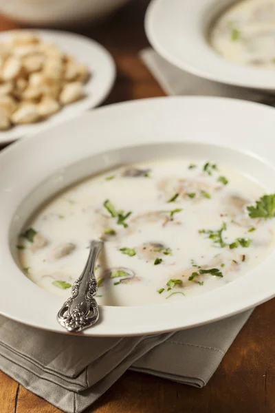 Homemade Organic Oyster Stew Appetizer — Stock Photo, Image