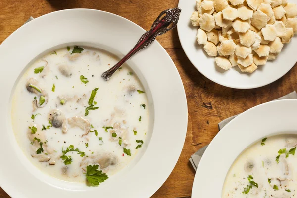 Homemade Organic Oyster Stew Appetizer — Stock Photo, Image