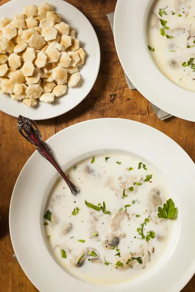 Homemade Organic Oyster Stew Appetizer — Stock Photo, Image
