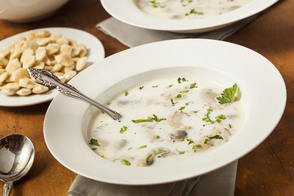 Homemade Organic Oyster Stew Appetizer — Stock Photo, Image