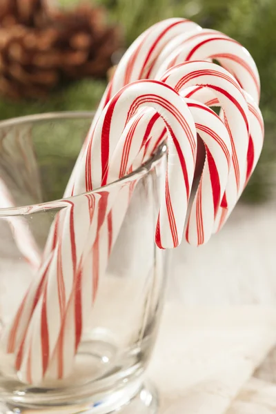 Festive Christmas Peppermint Candy Cane — Stock Photo, Image