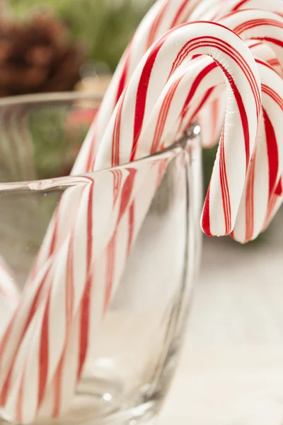 Festive Christmas Peppermint Candy Cane — Stock Photo, Image