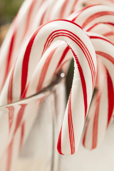 Festive Christmas Peppermint Candy Cane — Stock Photo, Image