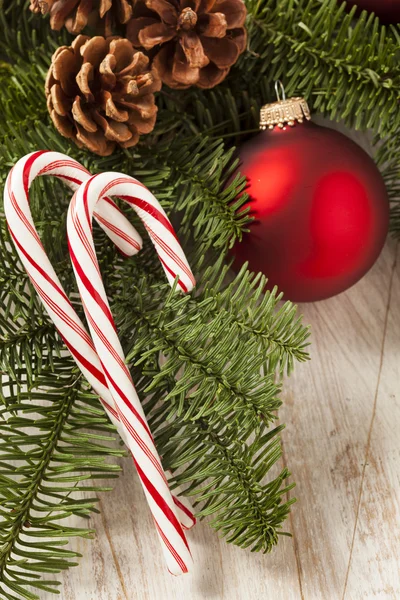 Festive Christmas Peppermint Candy Cane — Stock Photo, Image