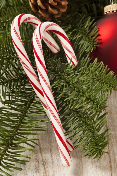 Świąteczne Boże Narodzenie mięty pieprzowej candy trzciny — Zdjęcie stockowe