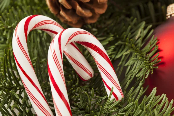 Navidad festiva menta caramelo bastón — Foto de Stock