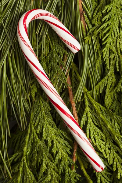 Navidad festiva menta caramelo bastón — Foto de Stock