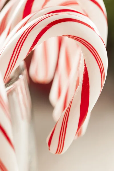 Festive Christmas Peppermint Candy Cane — Fotografie, imagine de stoc