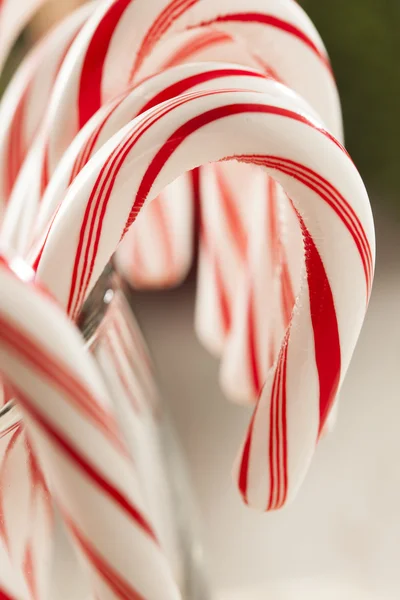 Slavnostní vánoční máta peprná cukrové třtiny — Stock fotografie
