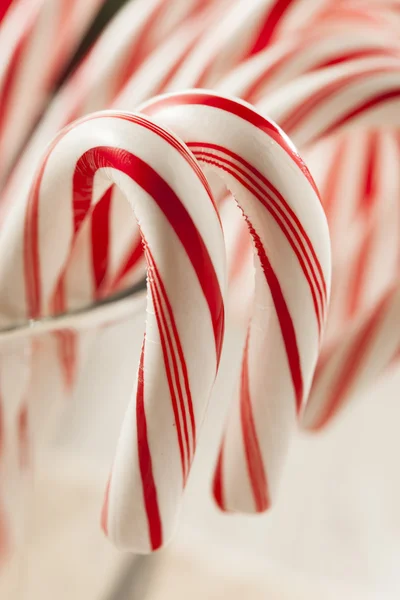 Festive Christmas Peppermint Candy Cane — Fotografie, imagine de stoc