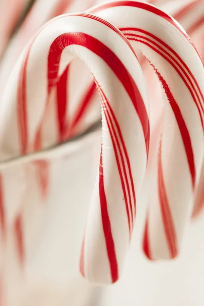 Festive Christmas Peppermint Candy Cane — Stock Photo, Image