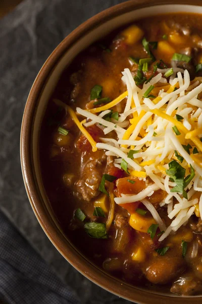 Soutwestern Santa Fe Soup — Stock Image Soutwestern Santa Fe Soup Stock Image