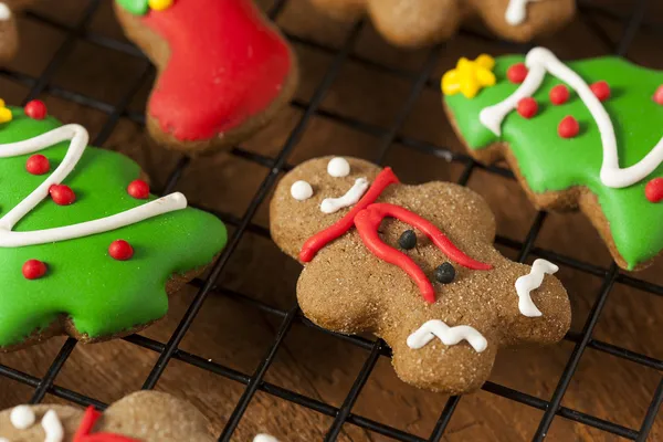 Biscotti di Natale tradizionali di pan di zenzero ghiacciato — Foto Stock