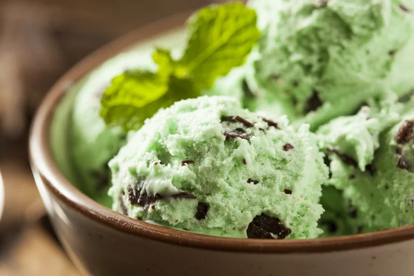 Органическое мятное мороженое с шоколадной крошкой — стоковое фото
