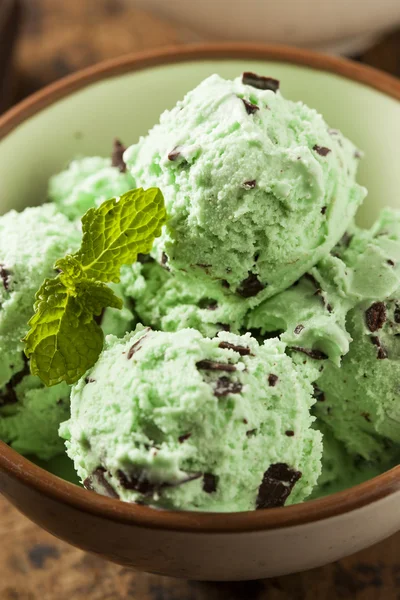 Organic Green Mint Chocolate Chip Ice Cream — Stock Photo, Image