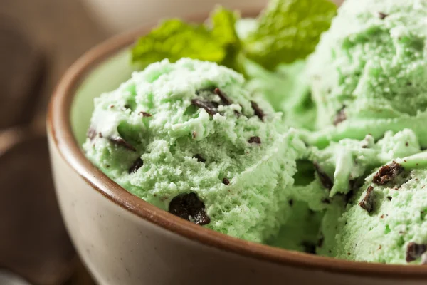 有机绿色薄荷巧克力屑冰淇淋 — 图库照片