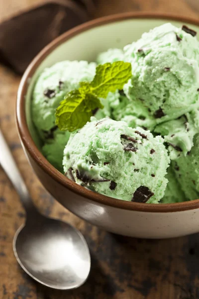 有機の緑のミント チョコレート チップ アイス クリーム — ストック写真