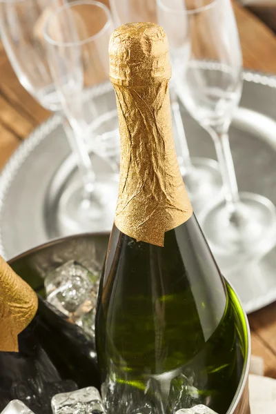 Bubbling Champagne in a Glass — Stock Photo, Image
