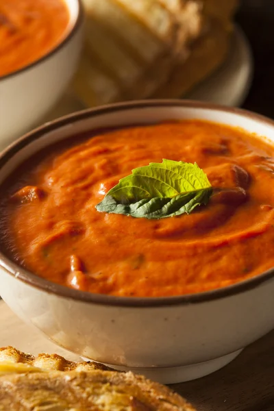 Sandwich de queso a la parrilla con sopa de tomate —  Fotos de Stock