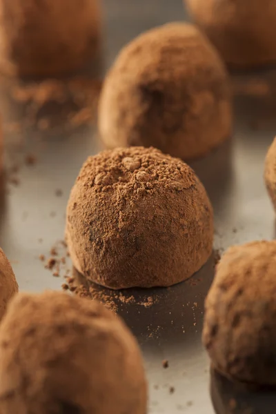 멋진 미식가 초콜릿 trufffles — 스톡 사진