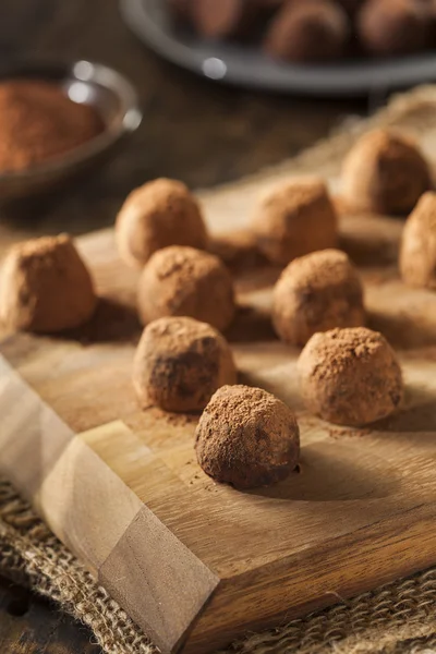 Truffes gourmandes au chocolat fantaisie — Photo