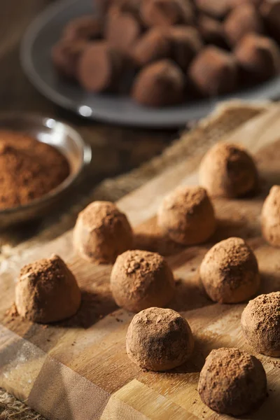 Вишуканий гурман Шоколадні трюфелі — стокове фото