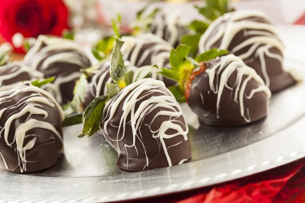 Gourmet Chocolate Covered Strawberries — Stock Photo, Image