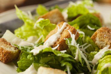 sağlıklı yeşil organik Sezar salatası