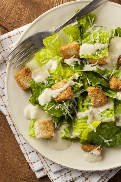 Здоровый зеленый органический салат цезарь — стоковое фото