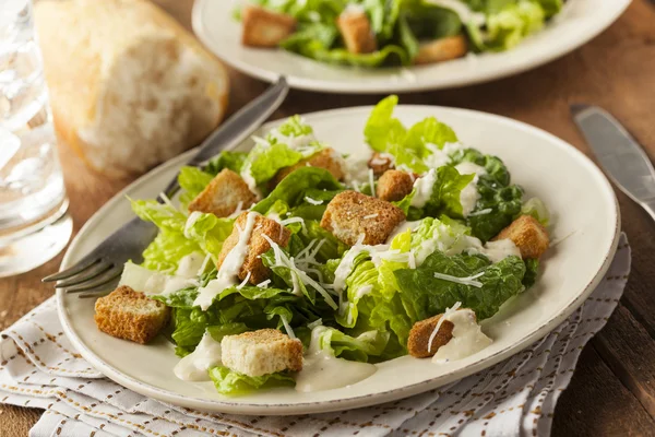 Gezonde groene organische Caesarsalade — Stockfoto