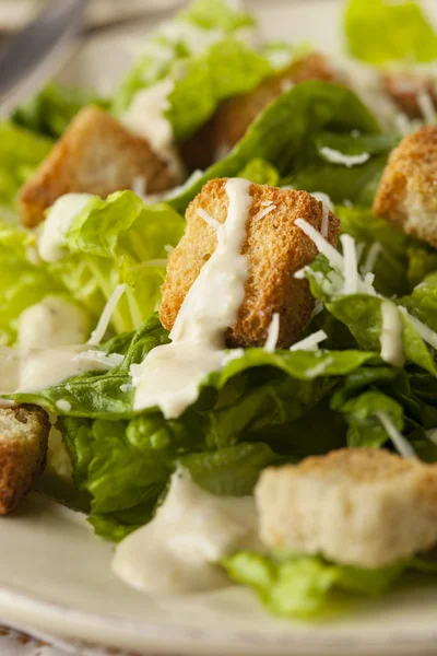 Healthy Green Organic Caesar Salad — Stock Photo, Image