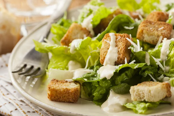 Healthy Green Organic Caesar Salad — Stock Photo, Image