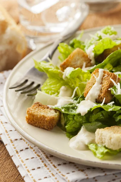 Gezonde groene organische Caesarsalade — Stockfoto