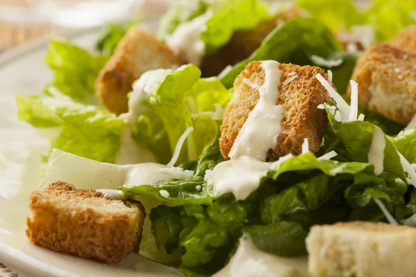 Healthy Green Organic Caesar Salad — Stock Photo, Image