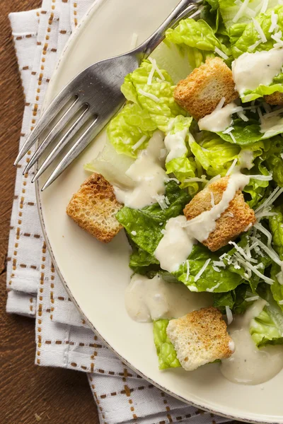 Healthy Green Organic Caesar Salad — Stock Image Healthy Green Organic Caesar Salad Stock Image