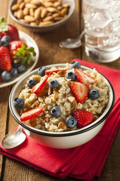 Gesunde hausgemachte Haferflocken mit Beeren — Stockfoto