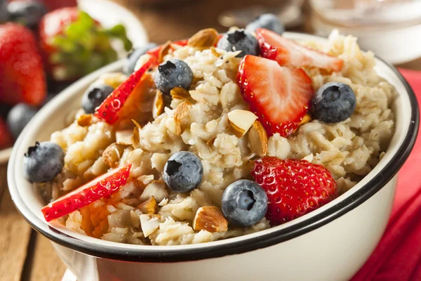 Healthy Homemade Oatmeal with Berries — Stock Photo, Image