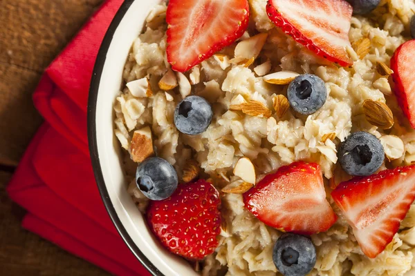 Healthy Homemade Oatmeal with Berries — Stock Photo, Image