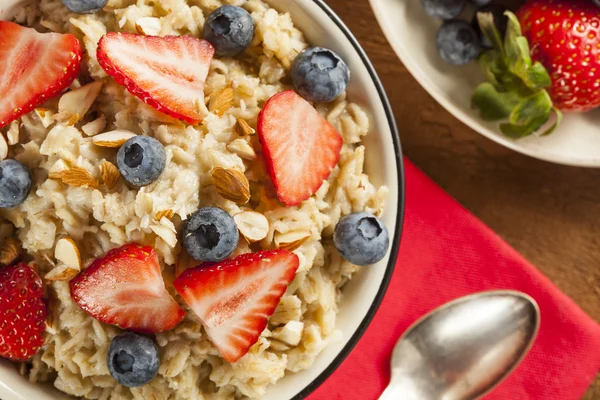 Healthy Homemade Oatmeal with Berries — Stock Photo, Image