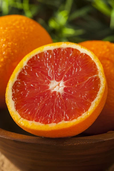 Orange sang mûr biologique sain — Photo