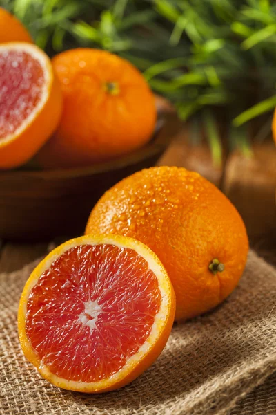 Healthy Organic Ripe Blood Orange — Stock Photo, Image