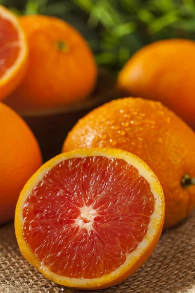 Healthy Organic Ripe Blood Orange — Stock Photo, Image